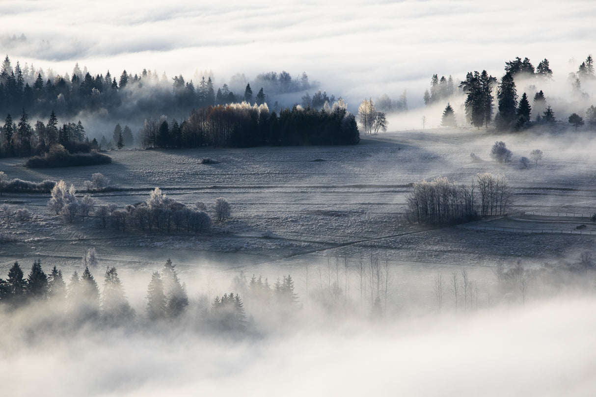 misty & frosty morning Poster och Canvastavla