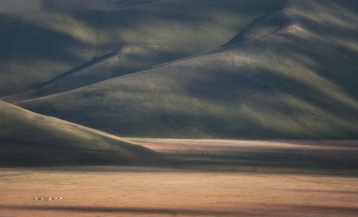 Bucolic Landscape Poster och Canvastavla