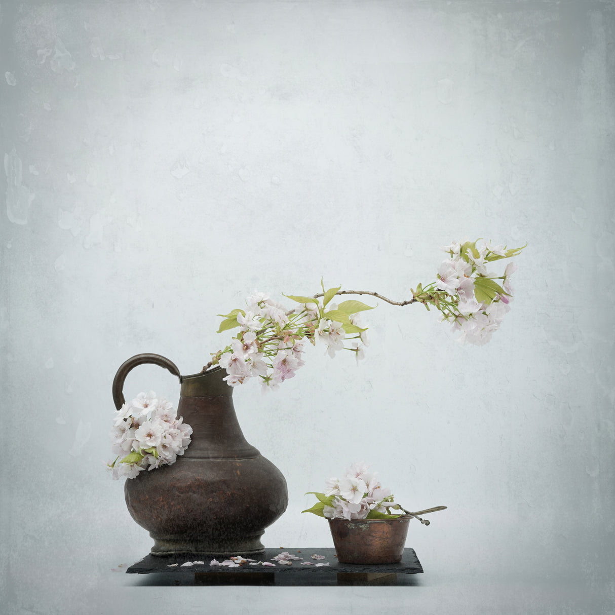 Spring impression . Poster och Canvastavla