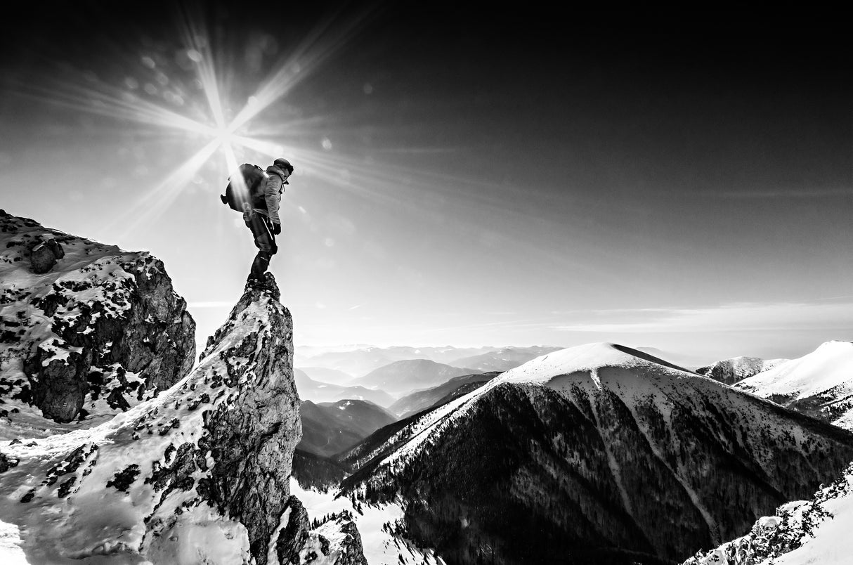 Life at the top Poster och Canvastavla