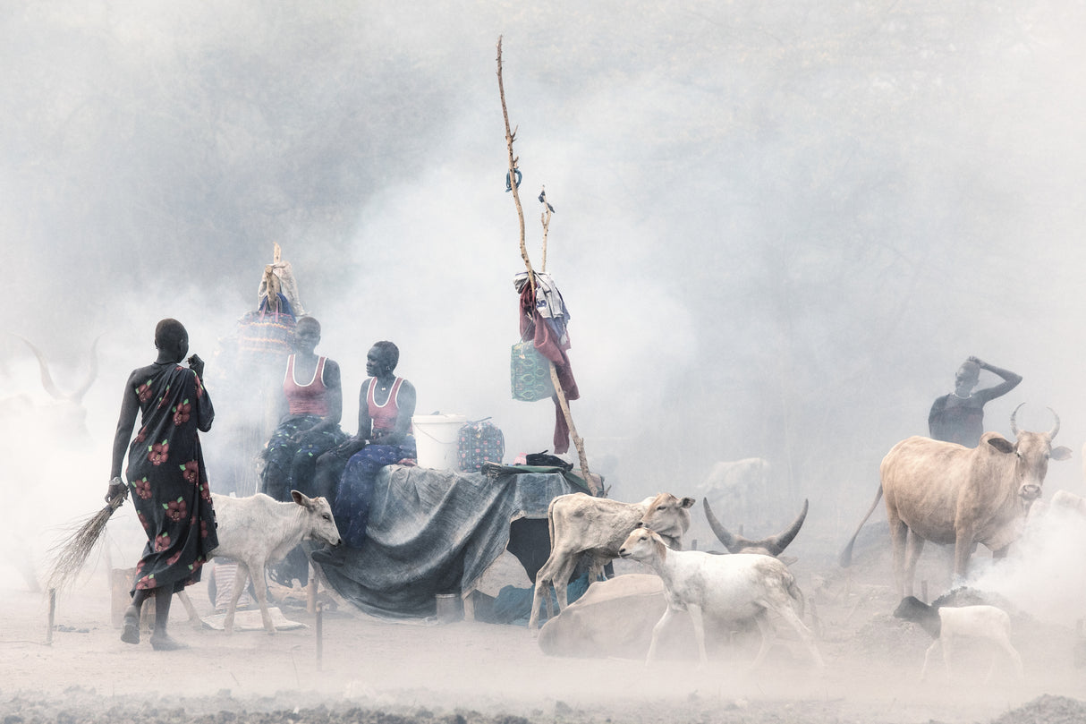 Mundari Camp Life Poster och Canvastavla