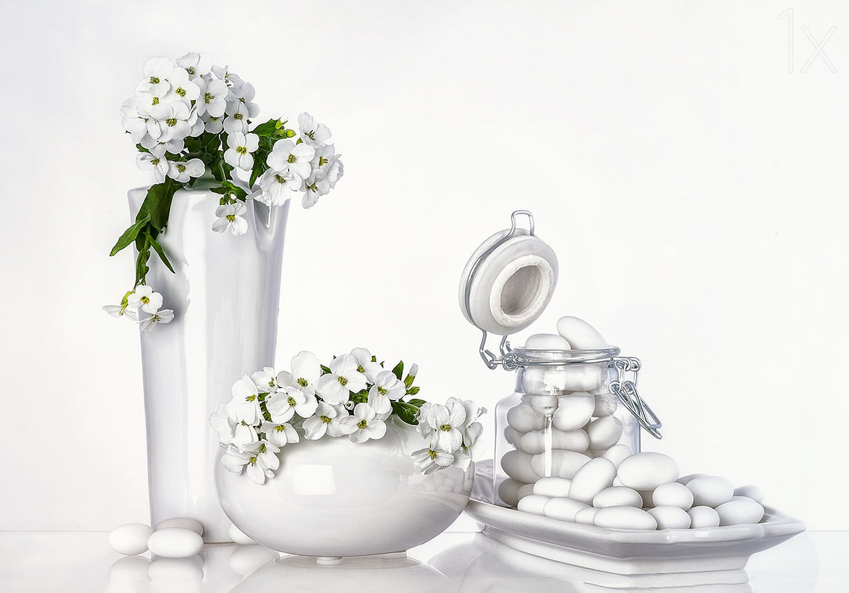 porcelain Poster och Canvastavla