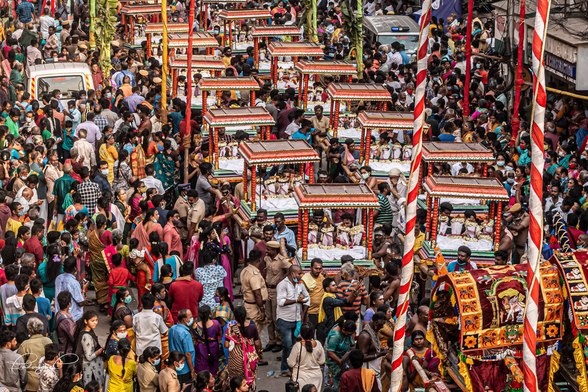 Temple Grand Festival - Chennai -India Poster och Canvastavla
