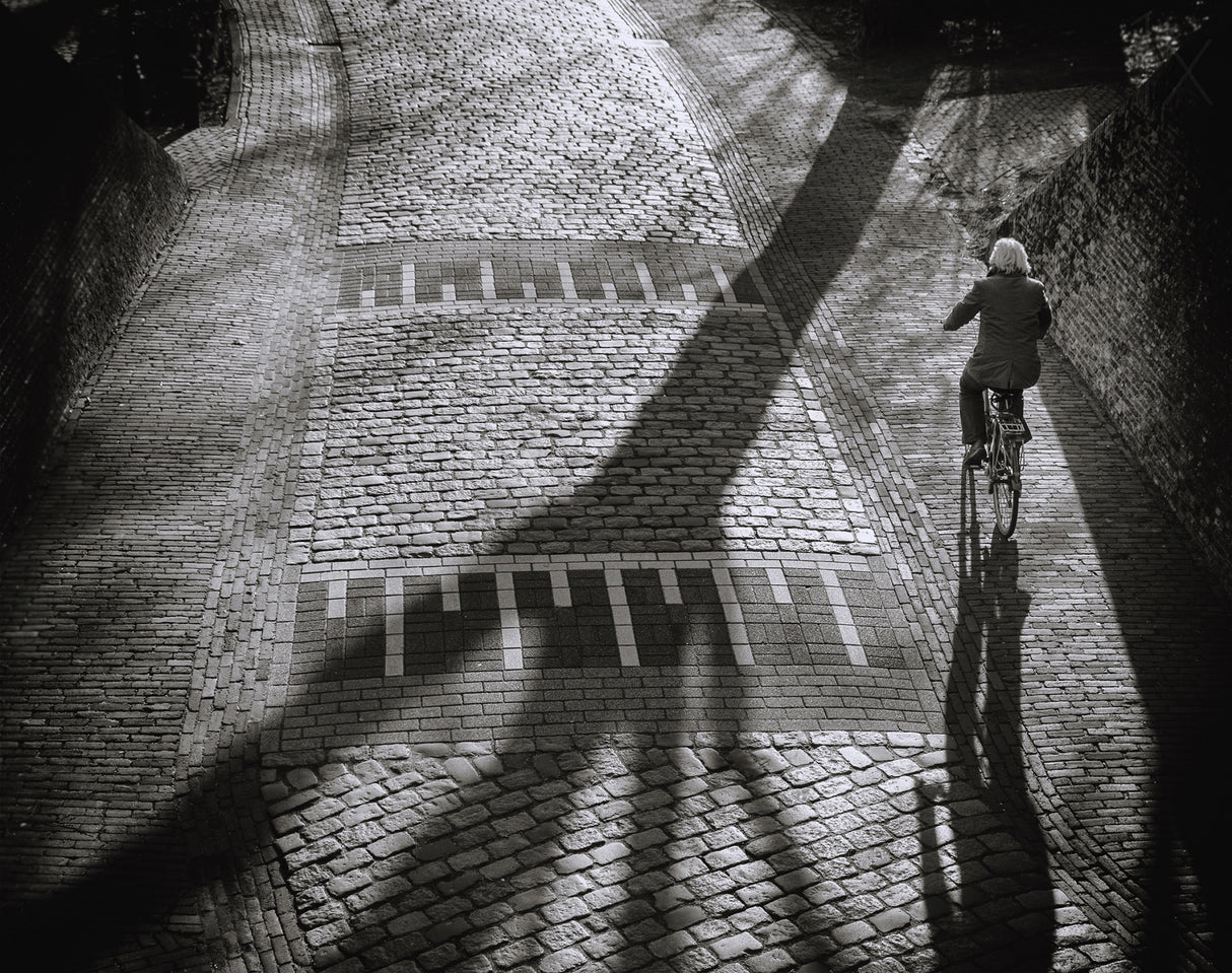 Shadow Poster och Canvastavla