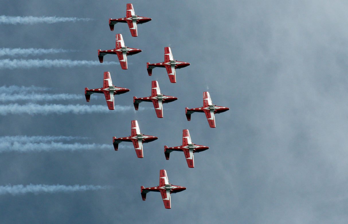 Snowbirds Poster och Canvastavla