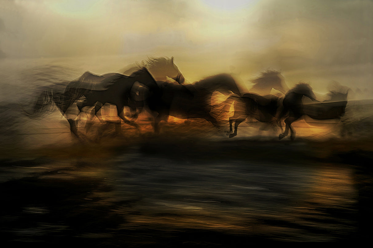 In the morning gallop Poster och Canvastavla