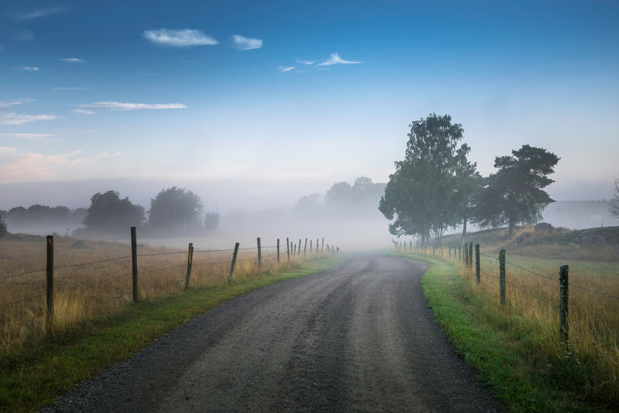 Blue foggy morning Poster och Canvastavla