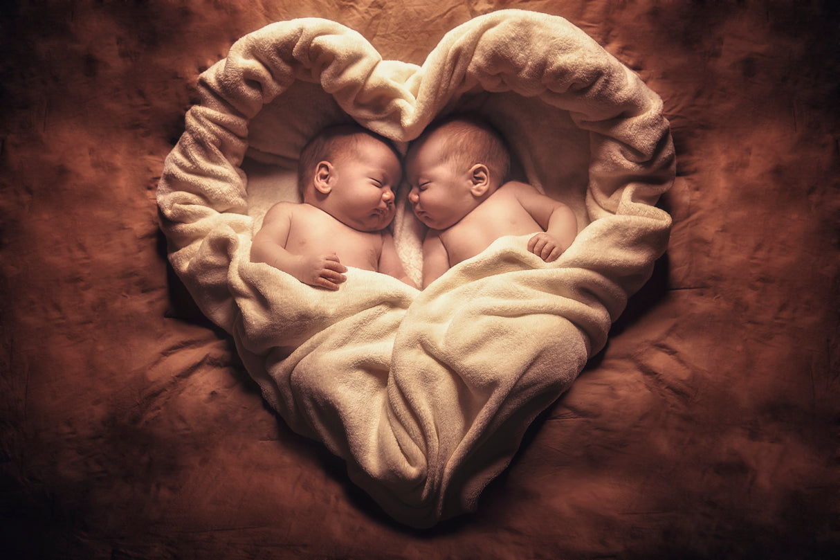 Twins Poster och Canvastavla