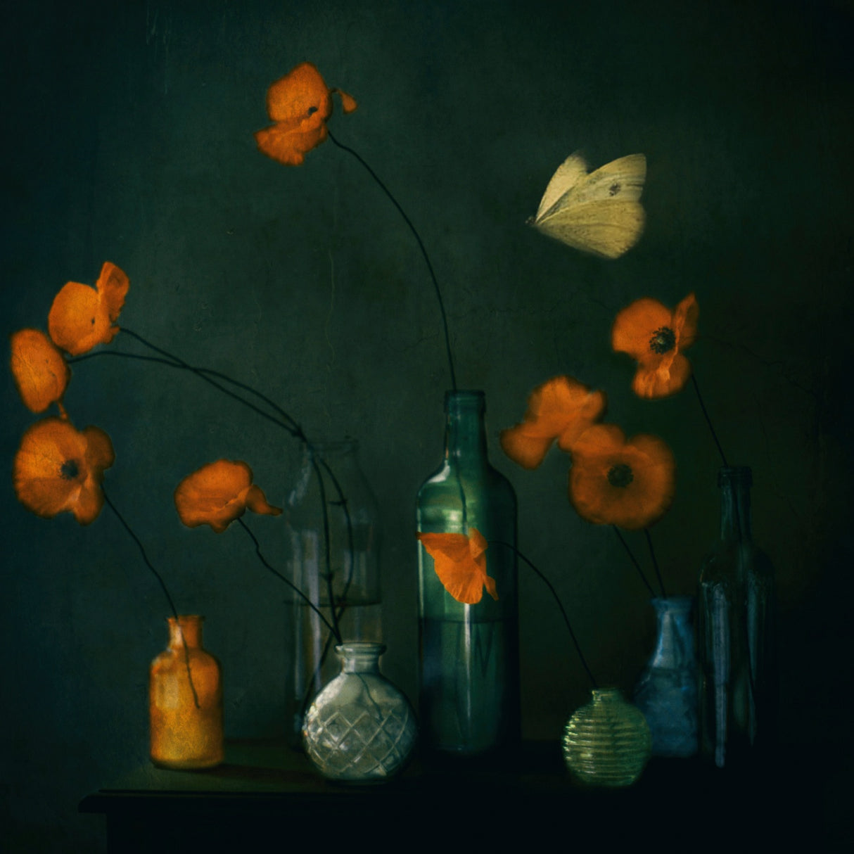 I Dreamt, I Dreamt Of Poppies (Dark mood) Poster och Canvastavla
