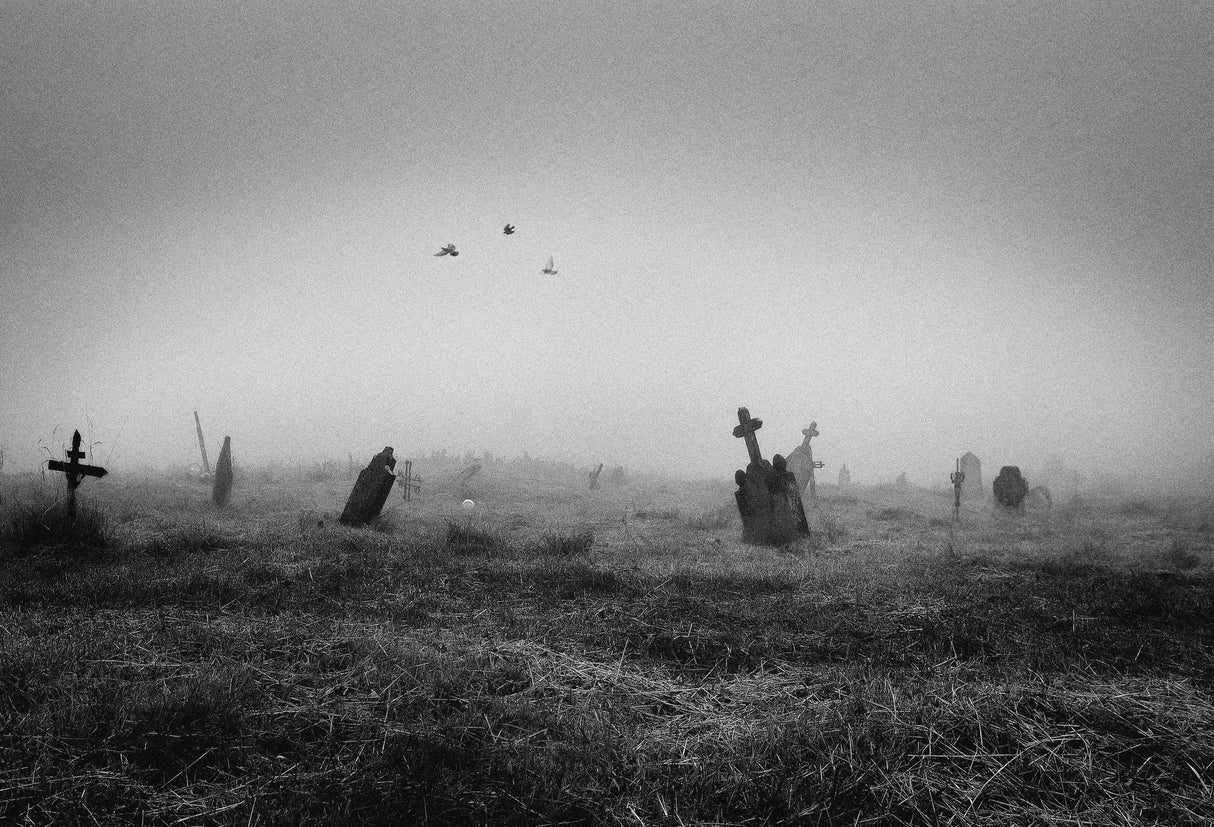 Antico cimitero abbandonato Poster och Canvastavla