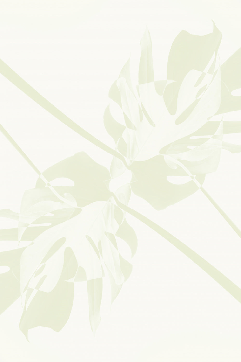 Monstera Kaleidoscope 04 Poster och Canvastavla