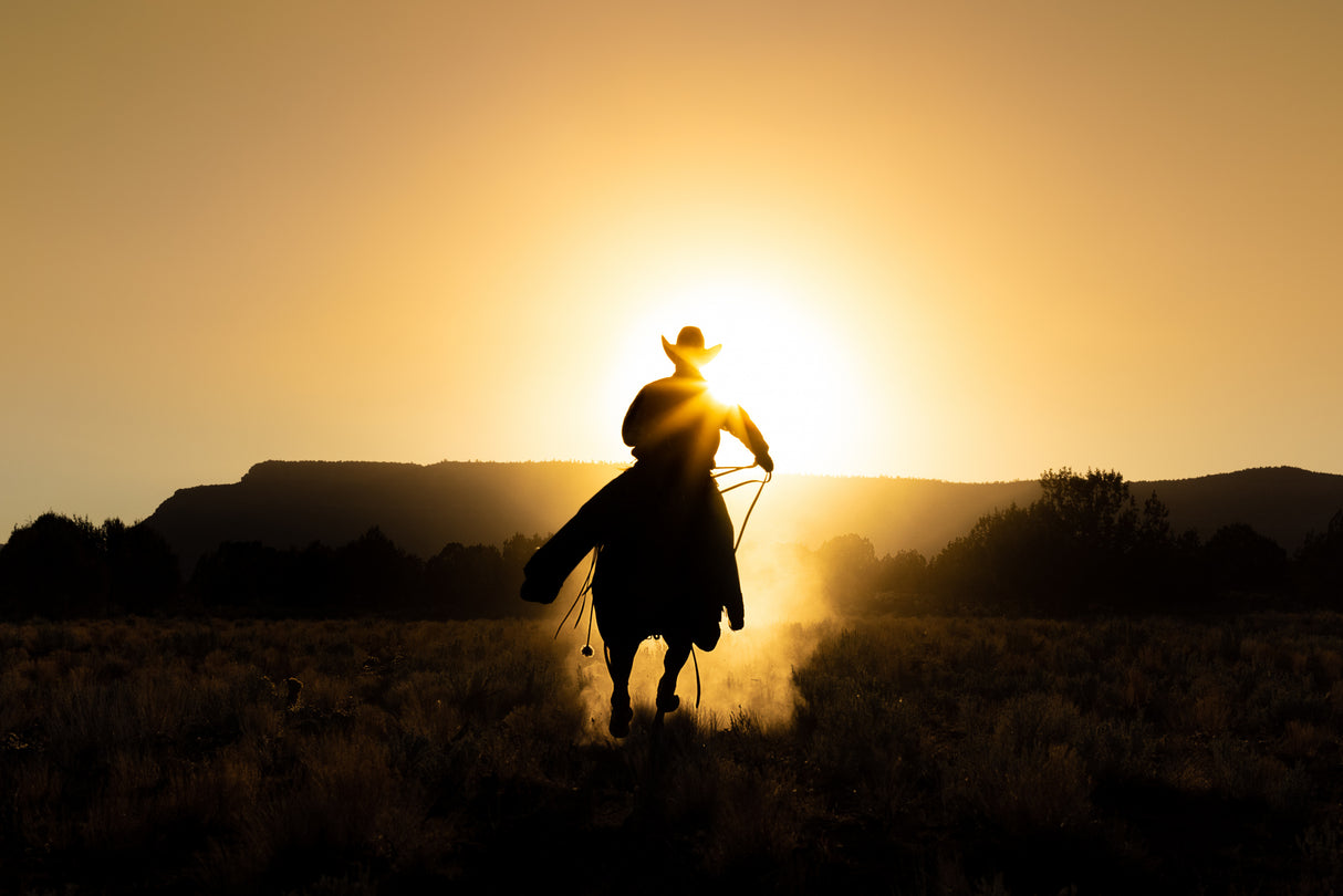 The Cowboy Poster och Canvastavla