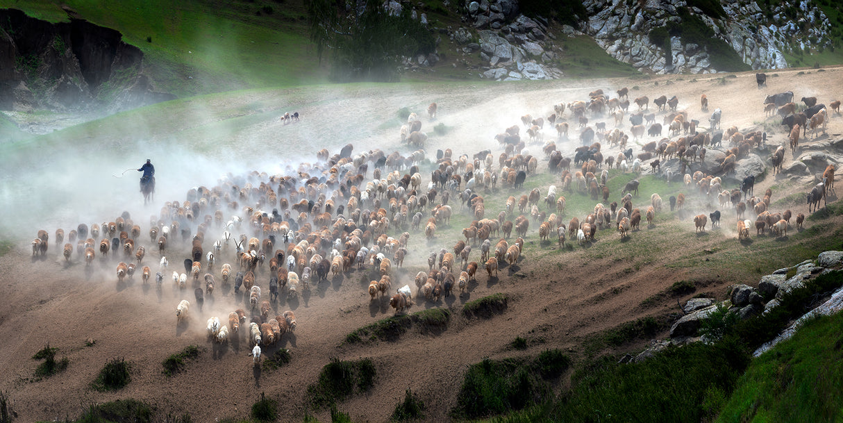 The great migration of Kazakh Poster och Canvastavla