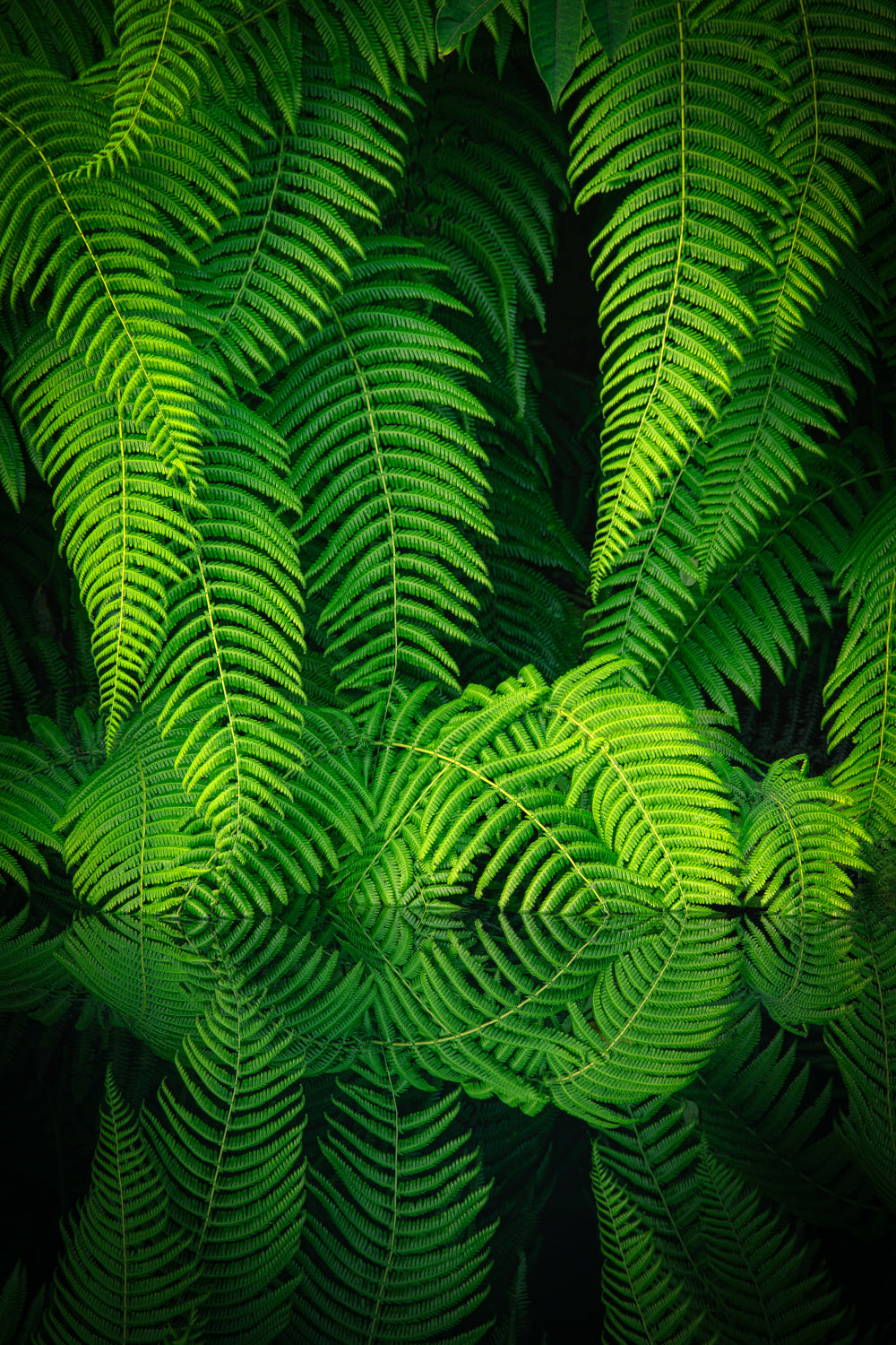 Beauty In Nature Poster och Canvastavla