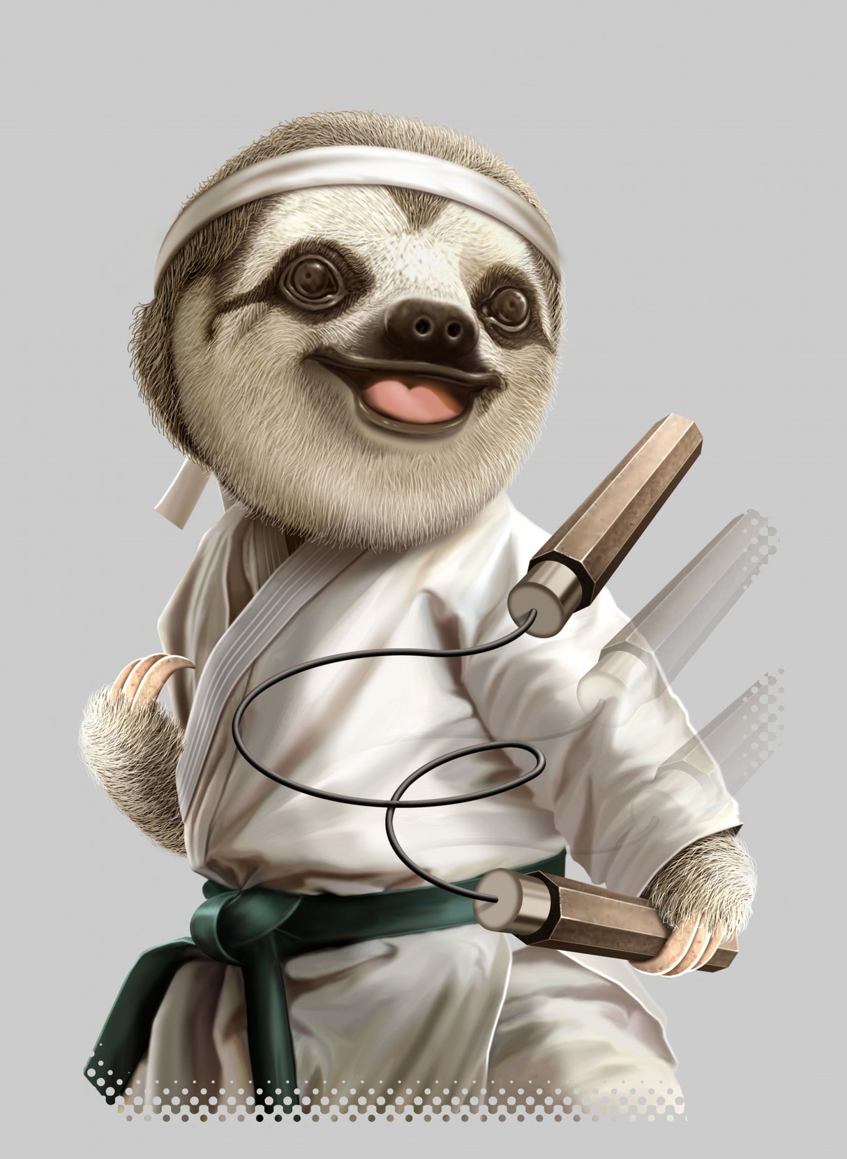 karate sloth Poster och Canvastavla