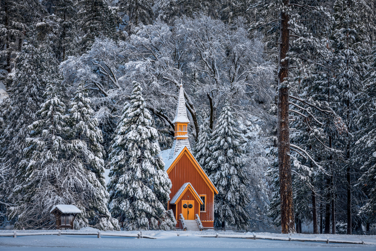 Merry White Christmas to All Poster och Canvastavla