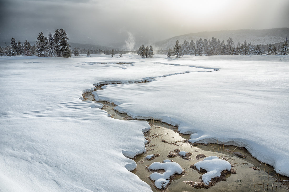Winter at Yellowstone Poster och Canvastavla