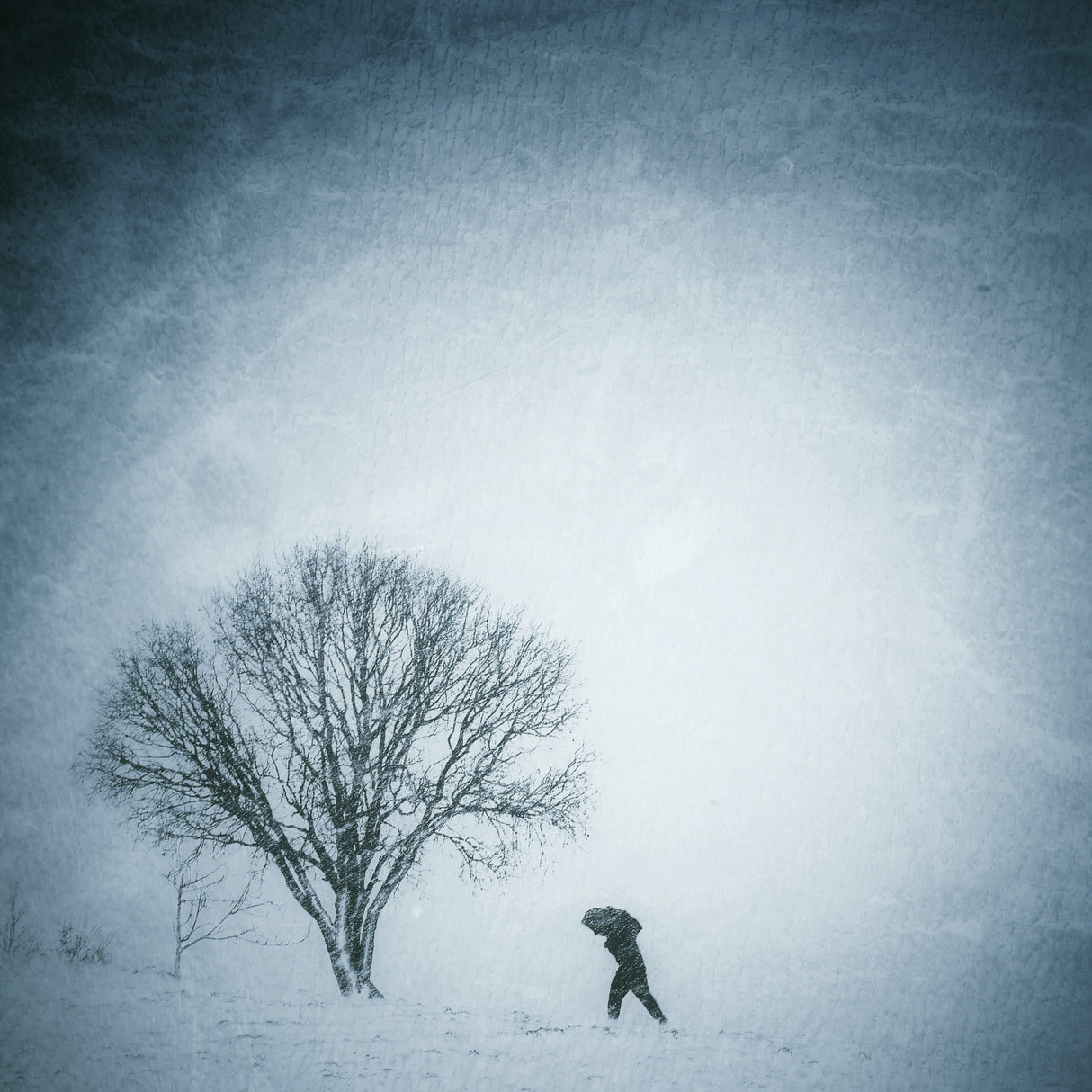 Snow day Poster och Canvastavla