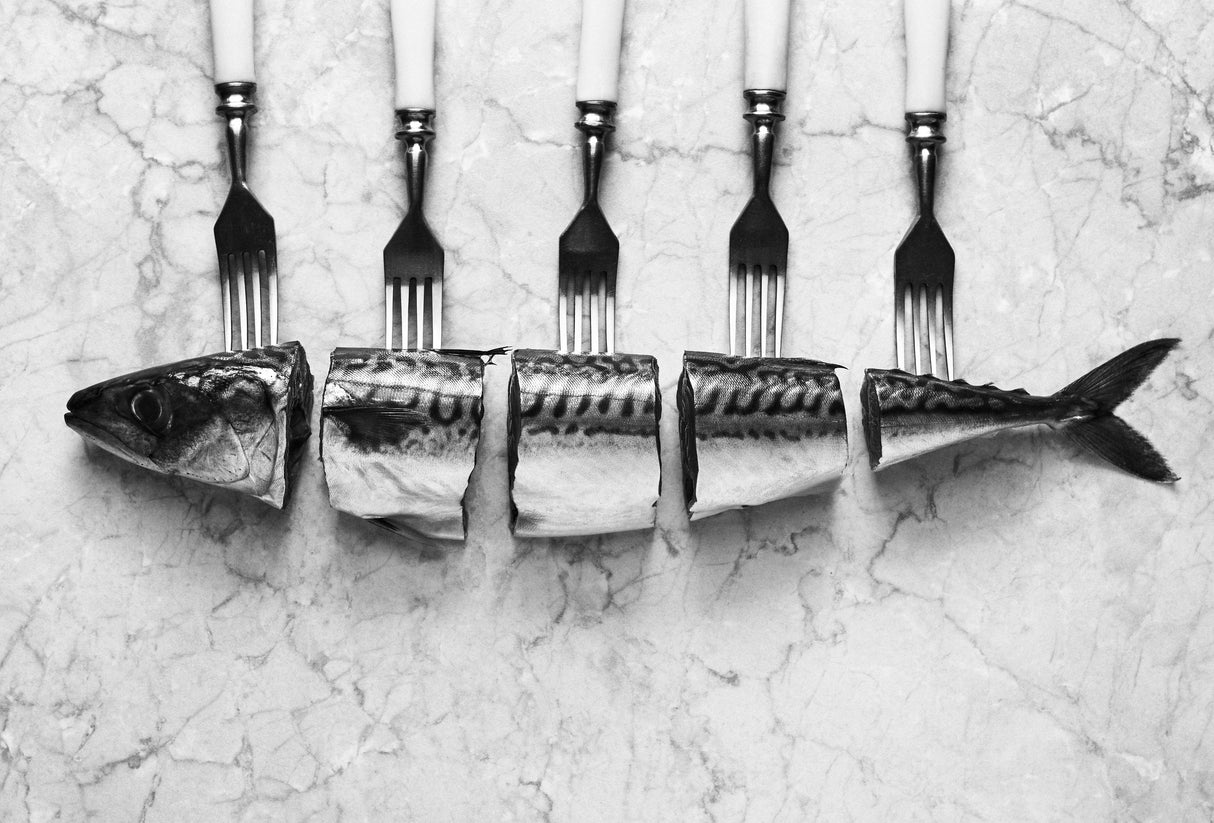 Mackerel&Forks Poster och Canvastavla