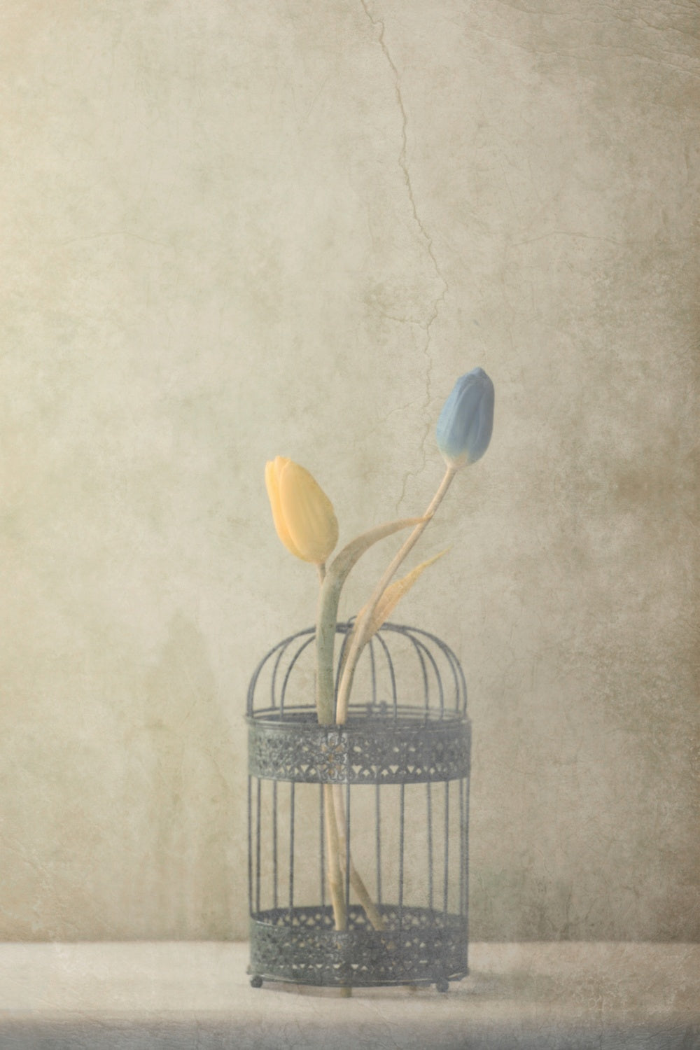 But Together... Poster och Canvastavla
