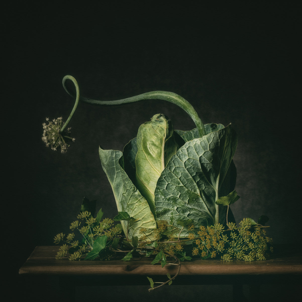 A green fairytale Poster och Canvastavla