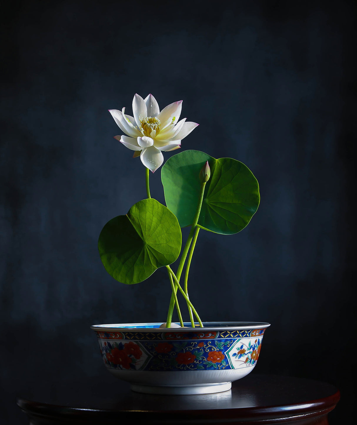 Bowl Lotus Poster och Canvastavla