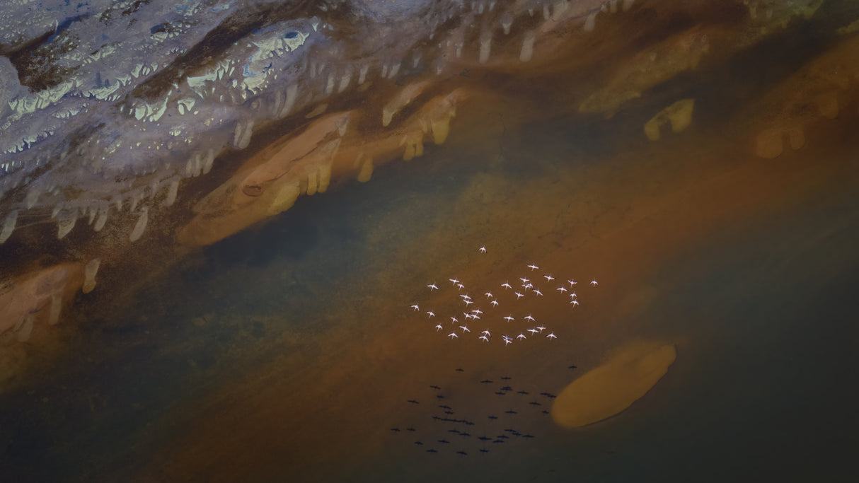Flying Over the Magic Lake Poster och Canvastavla