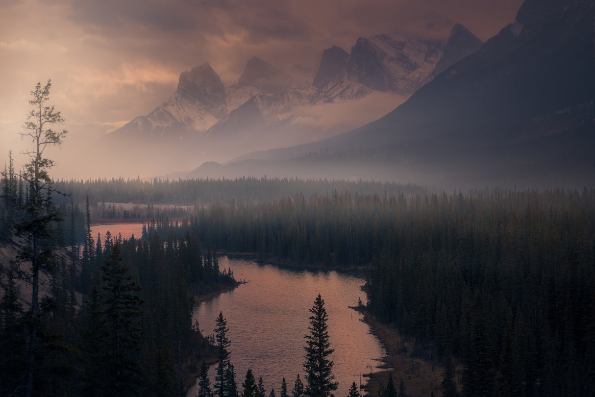 The Revenant Poster och Canvastavla