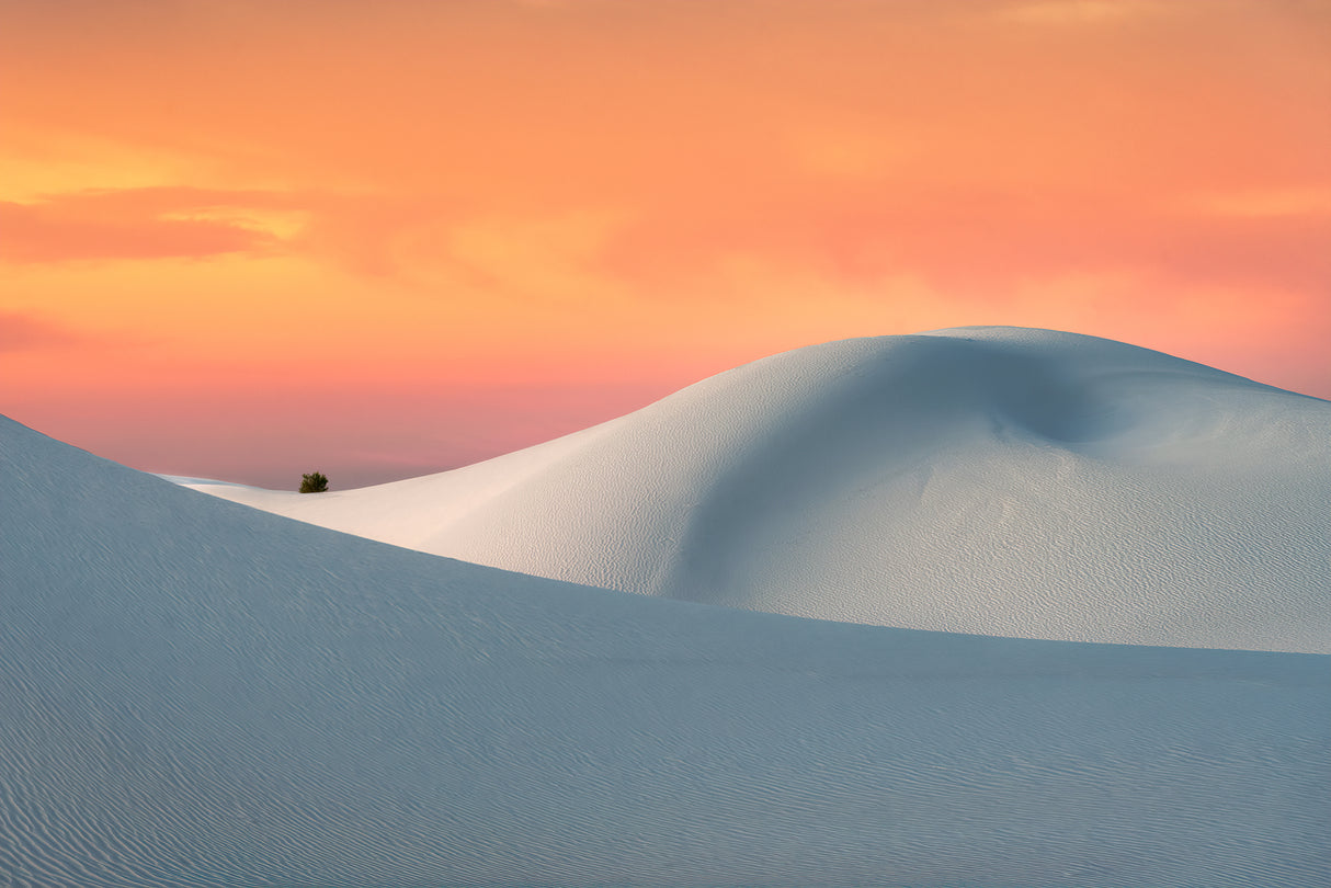 White Sands Poster och Canvastavla