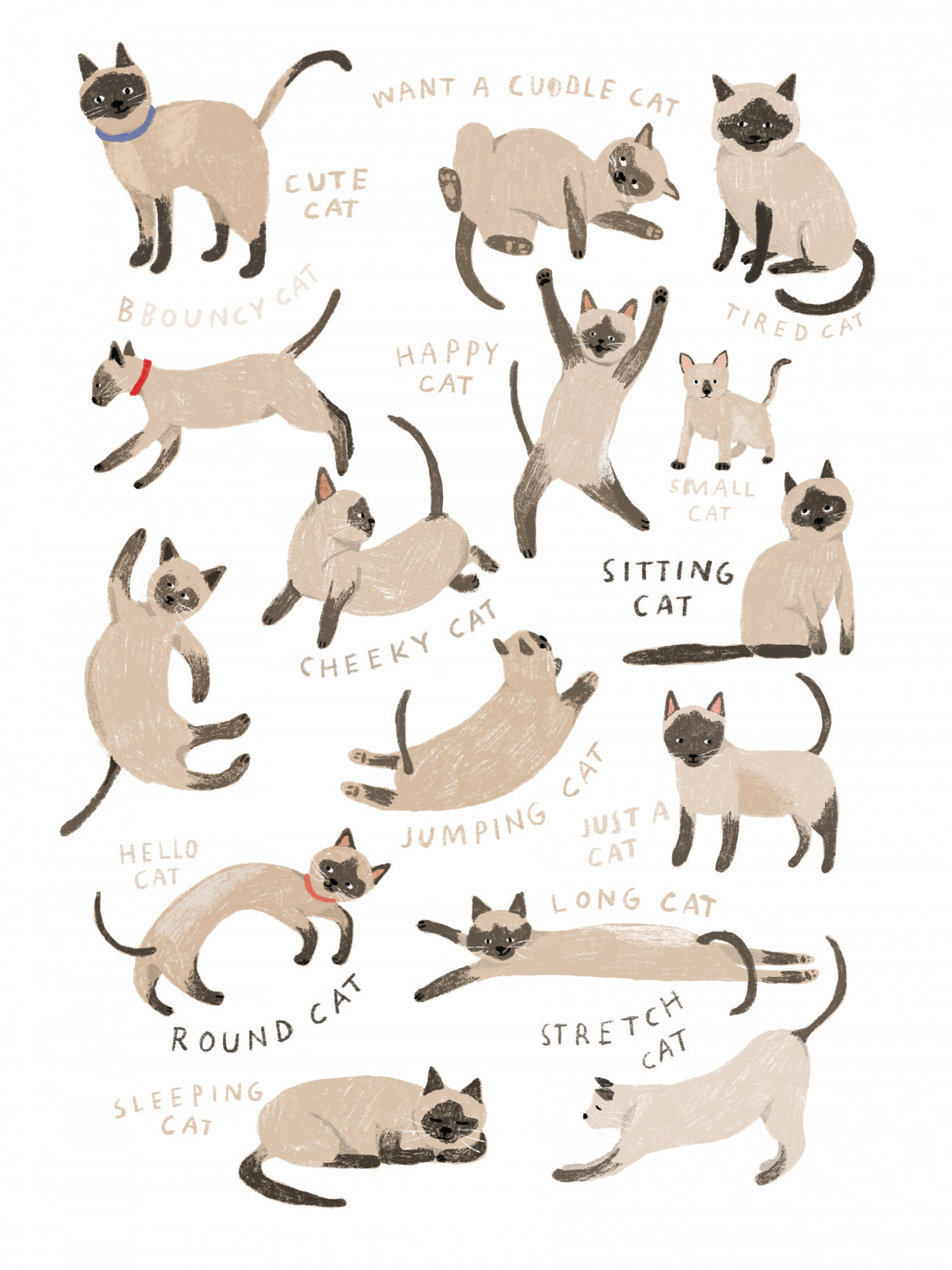 Siamese Cat Print Poster och Canvastavla