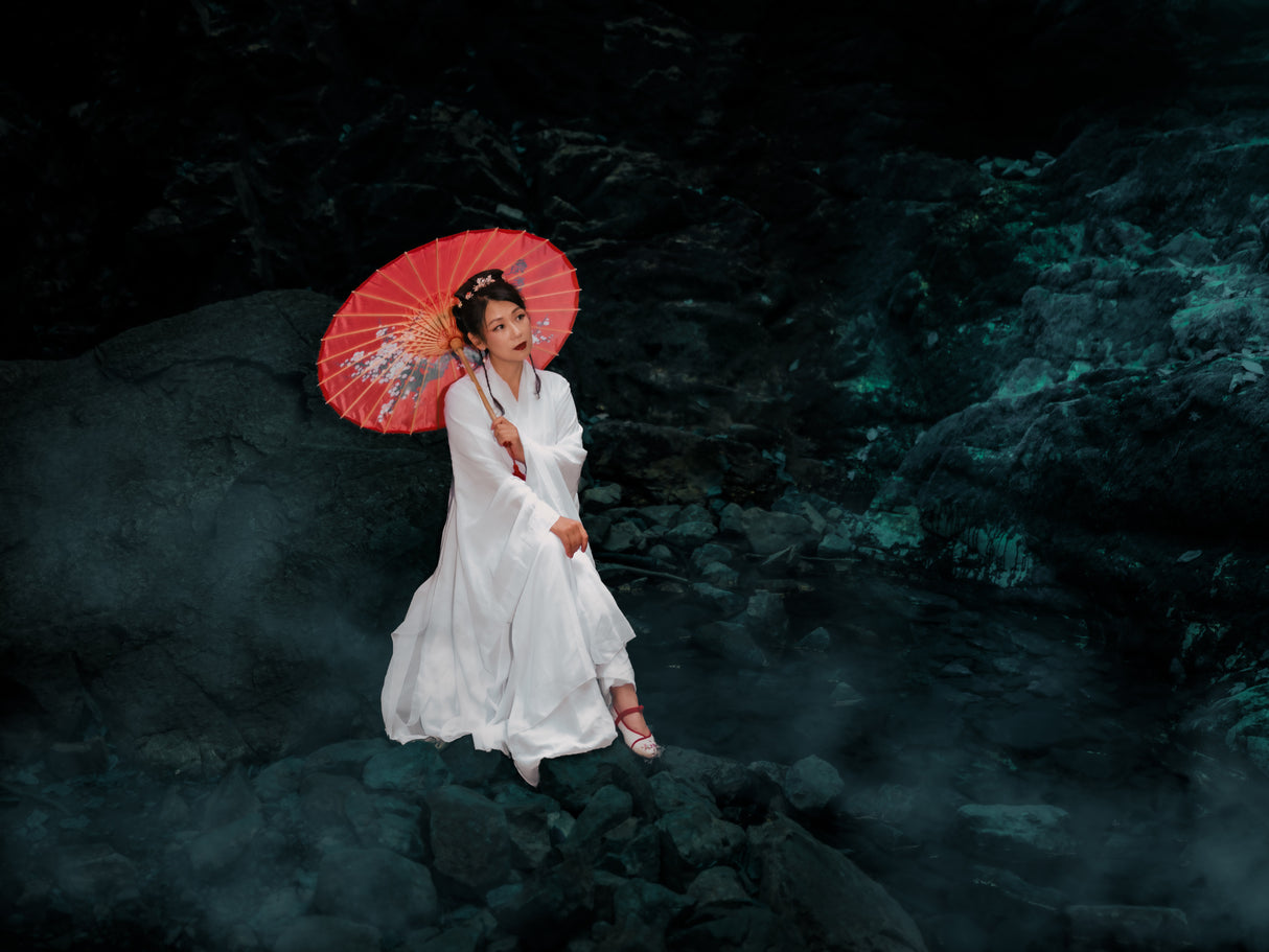 Chinese Traditional Fashion Poster och Canvastavla