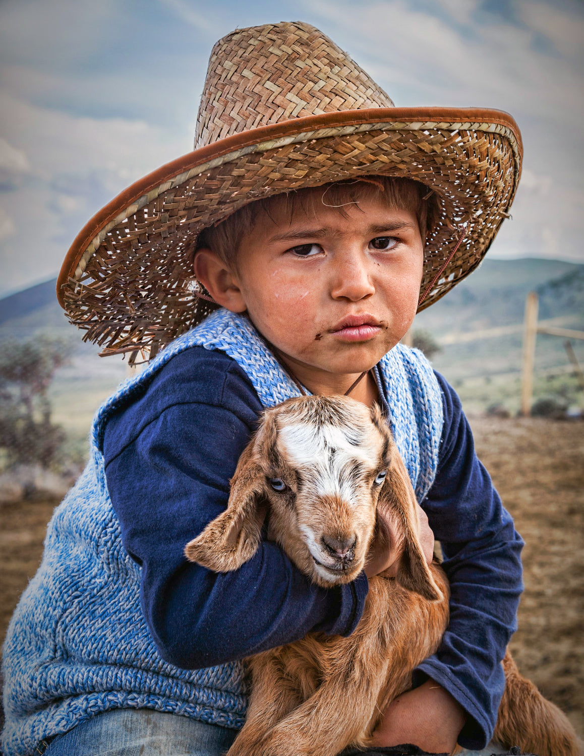 little shepherd Poster och Canvastavla