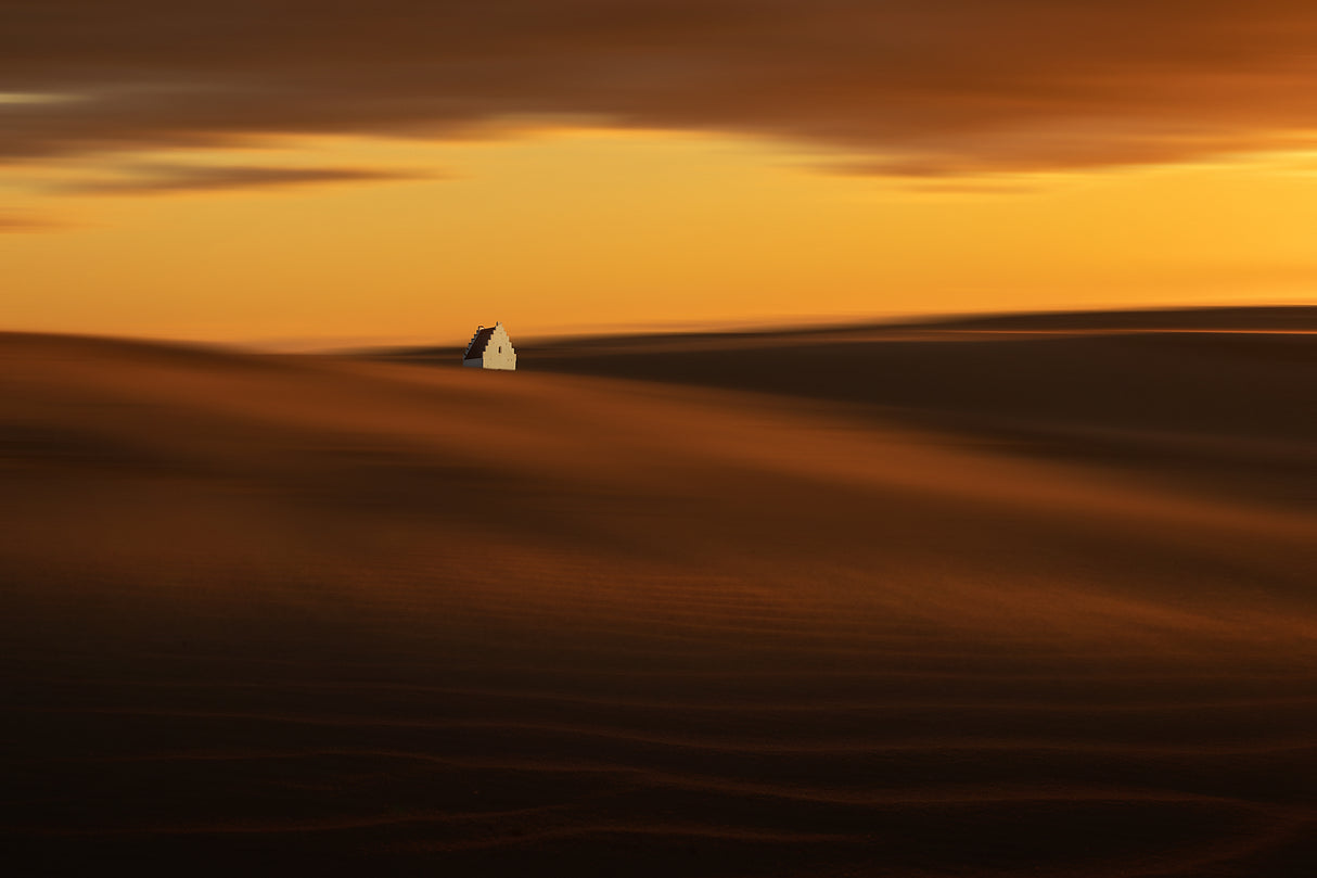 on the dunes Poster och Canvastavla
