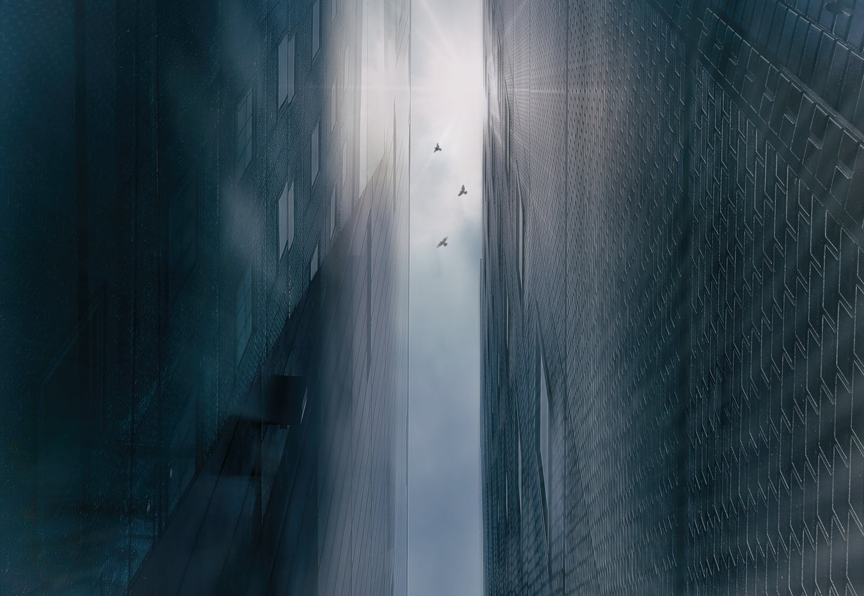 Icarus Poster och Canvastavla