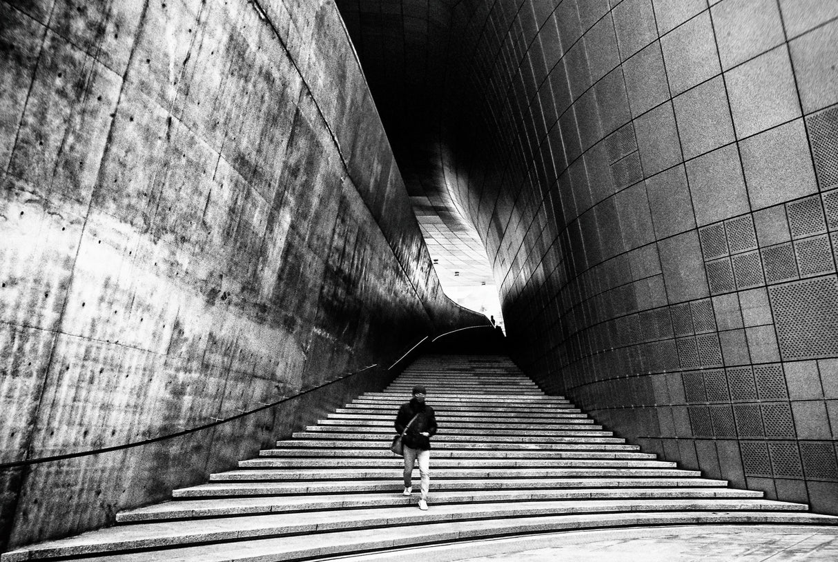 Dongdaemun Design Plaza Poster och Canvastavla