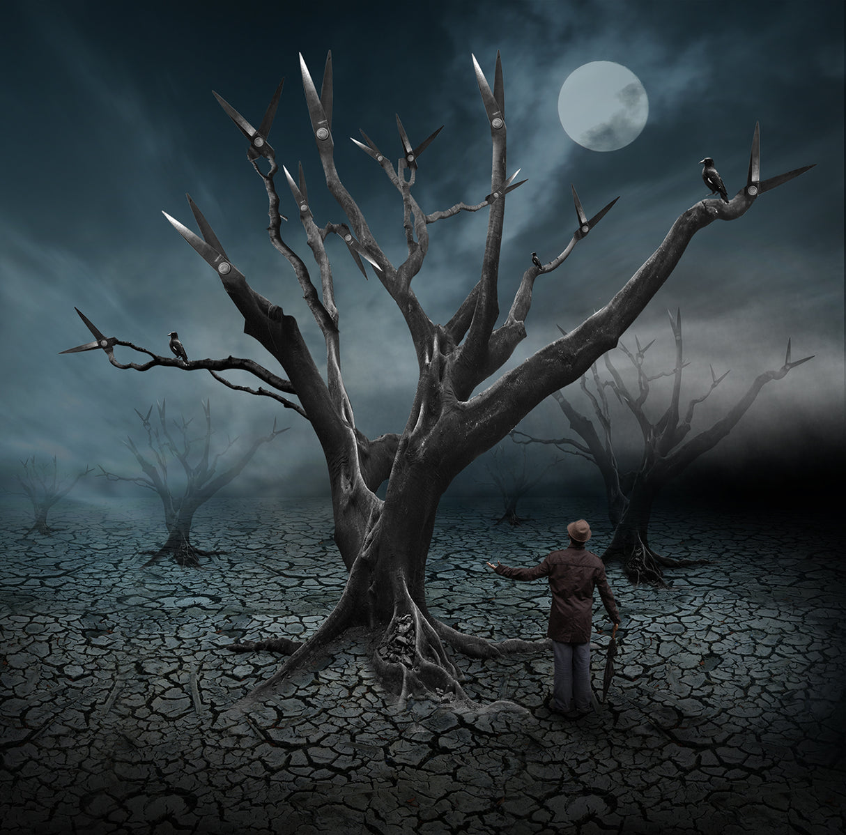 lost in the forest of scissors Poster och Canvastavla