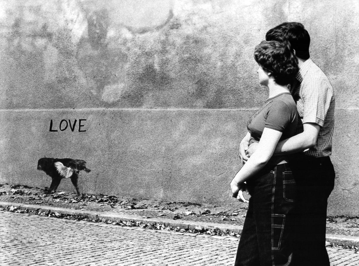Love Poster och Canvastavla