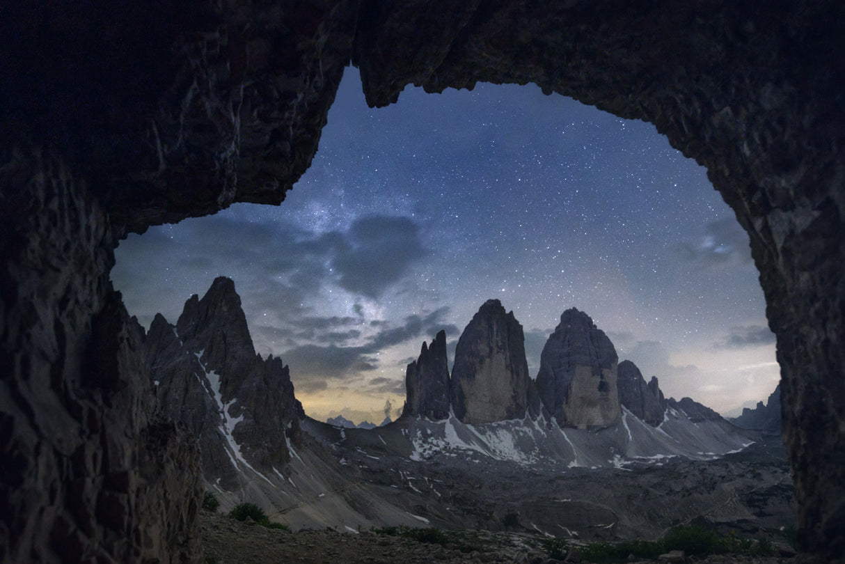 Wild boar Poster och Canvastavla