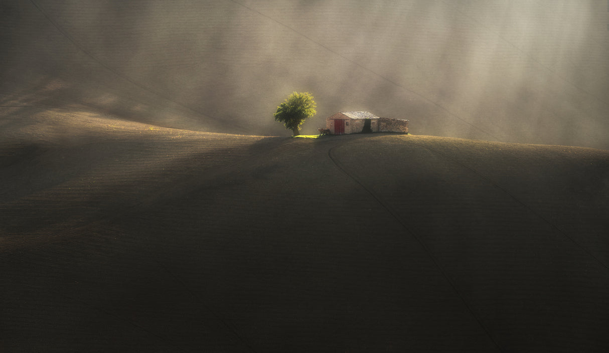 On the rolling hills Poster och Canvastavla