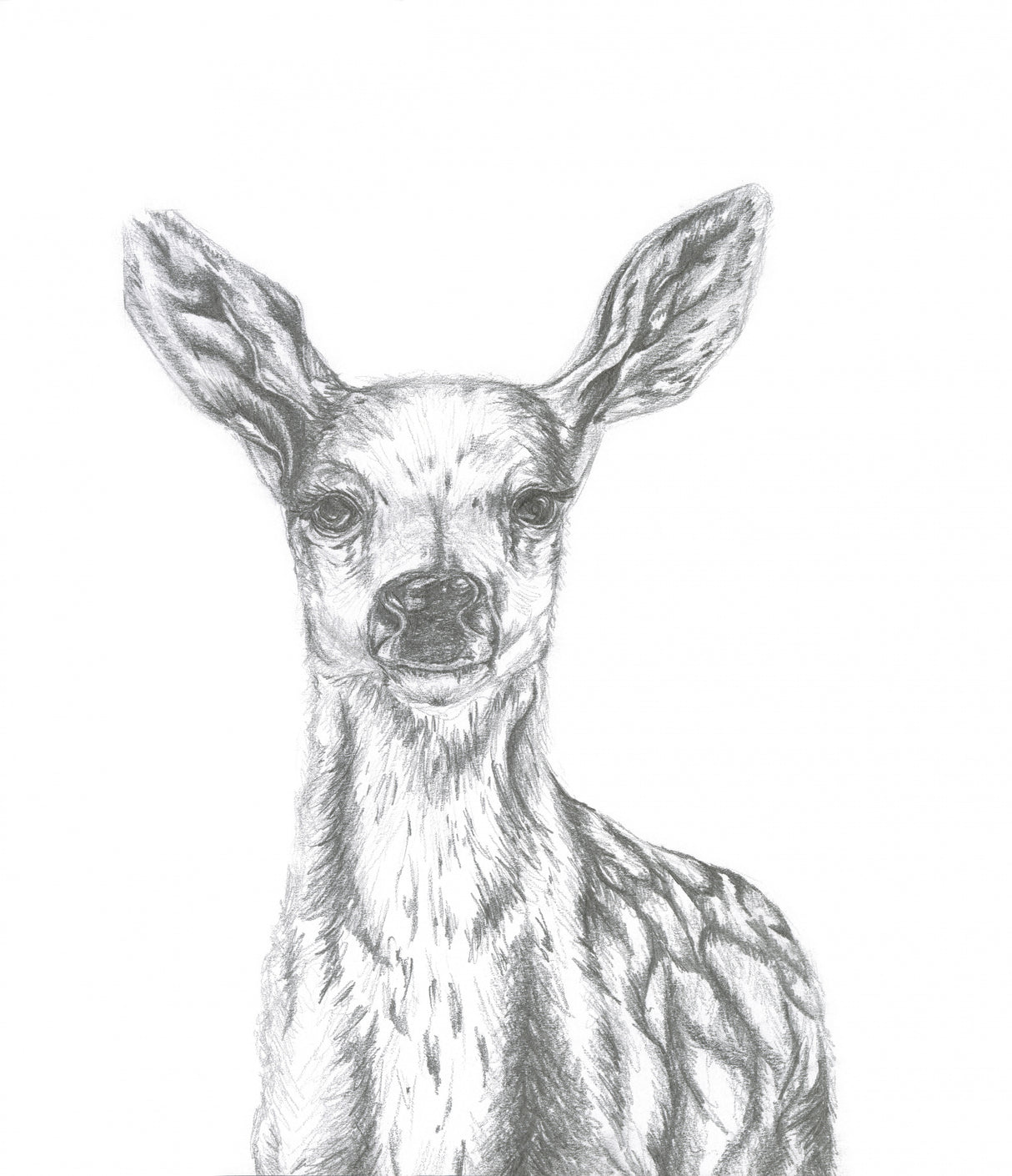 Deer Poster och Canvastavla