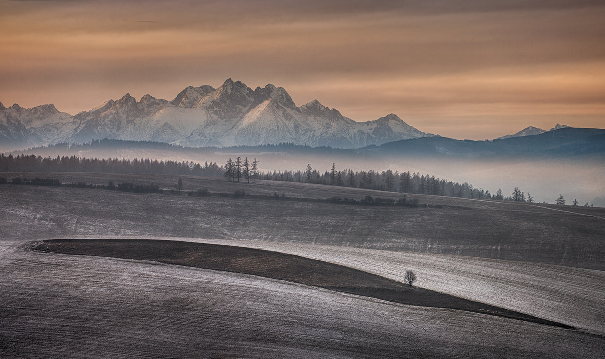 As autumn left the fields Poster och Canvastavla