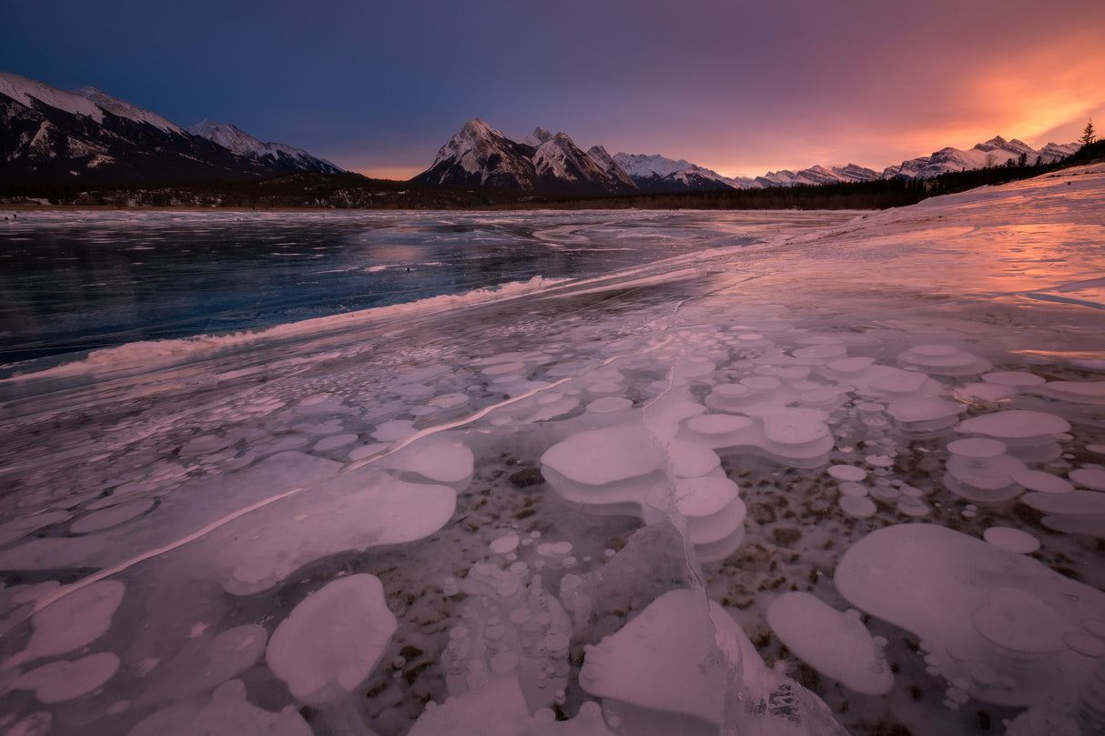 frozen bubbles Poster och Canvastavla