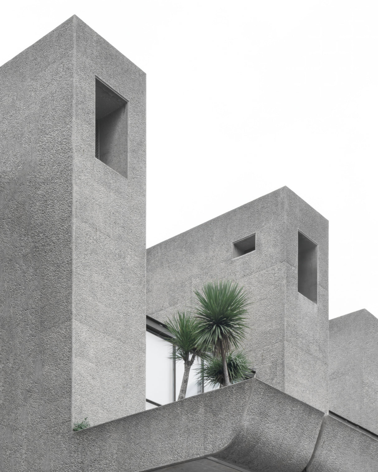 Lonely Palms No2 Poster och Canvastavla