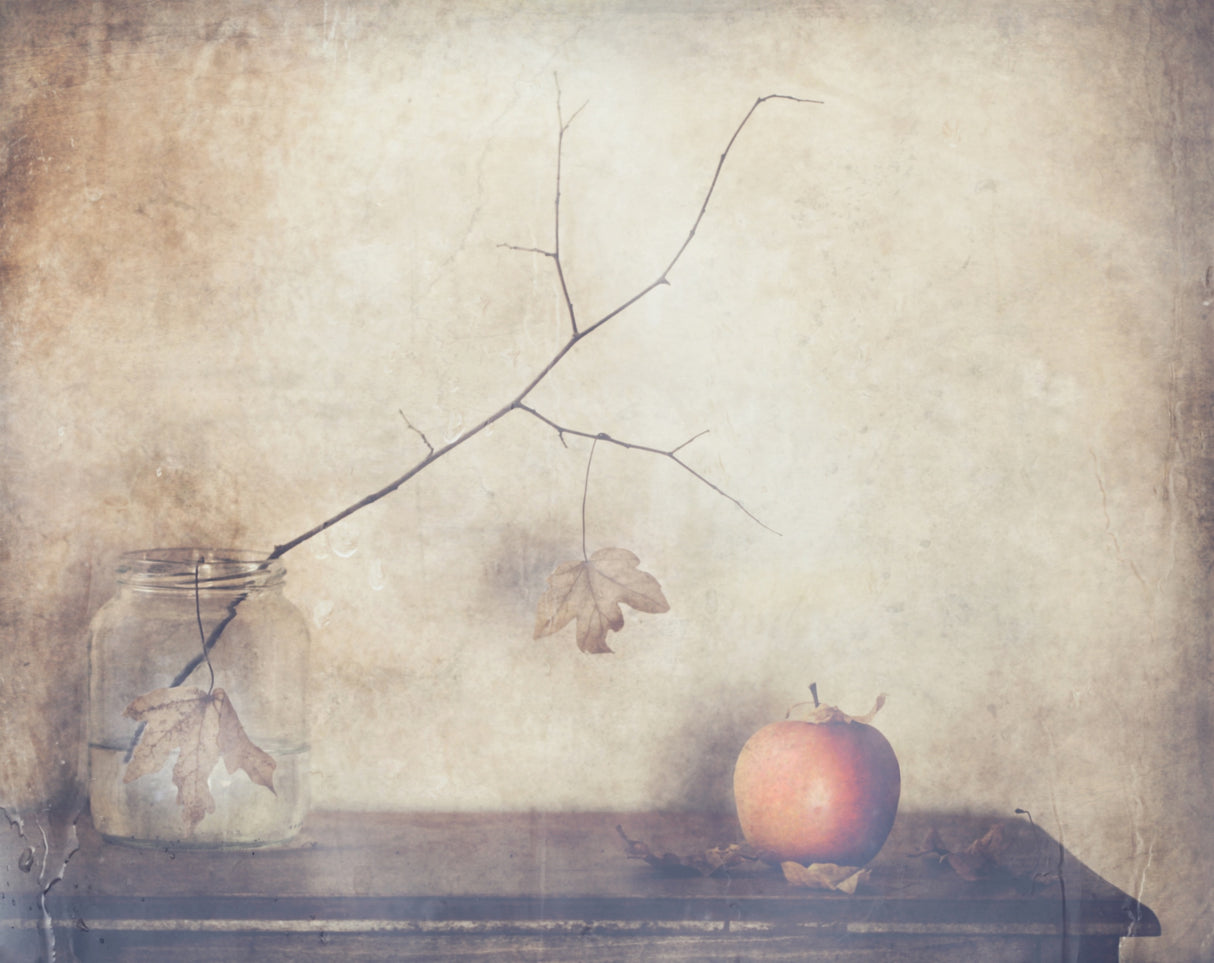 Fall, leaves, fall Poster och Canvastavla