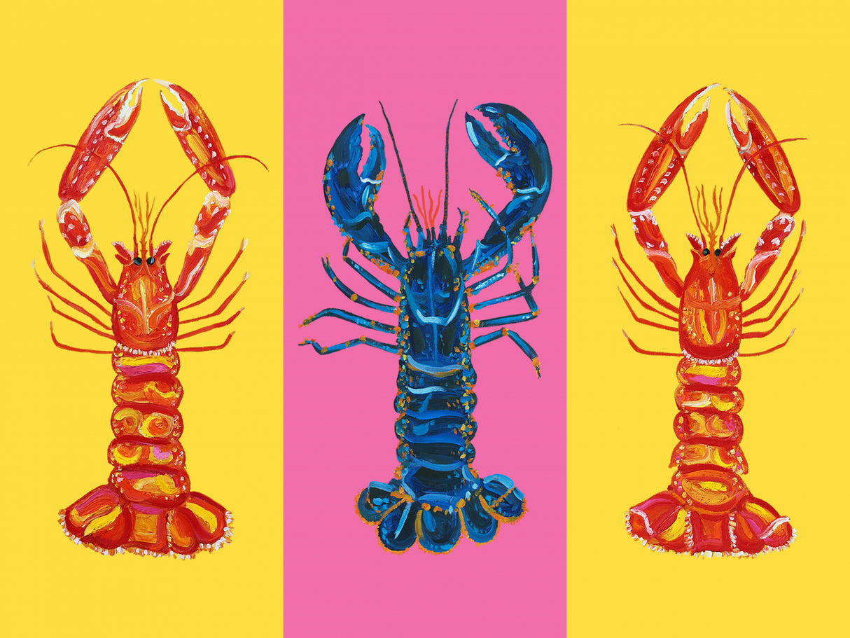 Lobster Langoustines Pop Art 2 Poster och Canvastavla