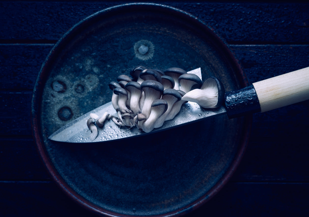 on the blade... Poster och Canvastavla