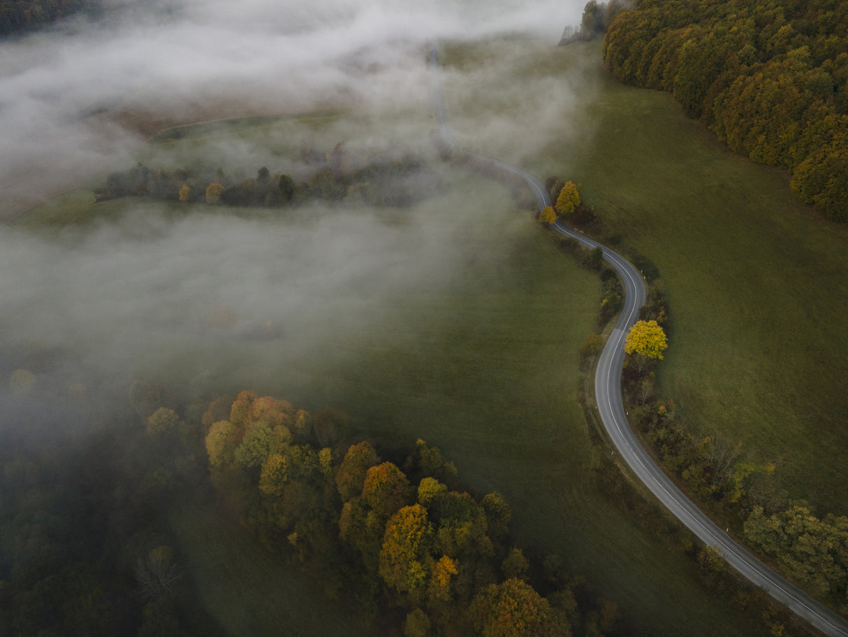 Autumn fog Poster och Canvastavla