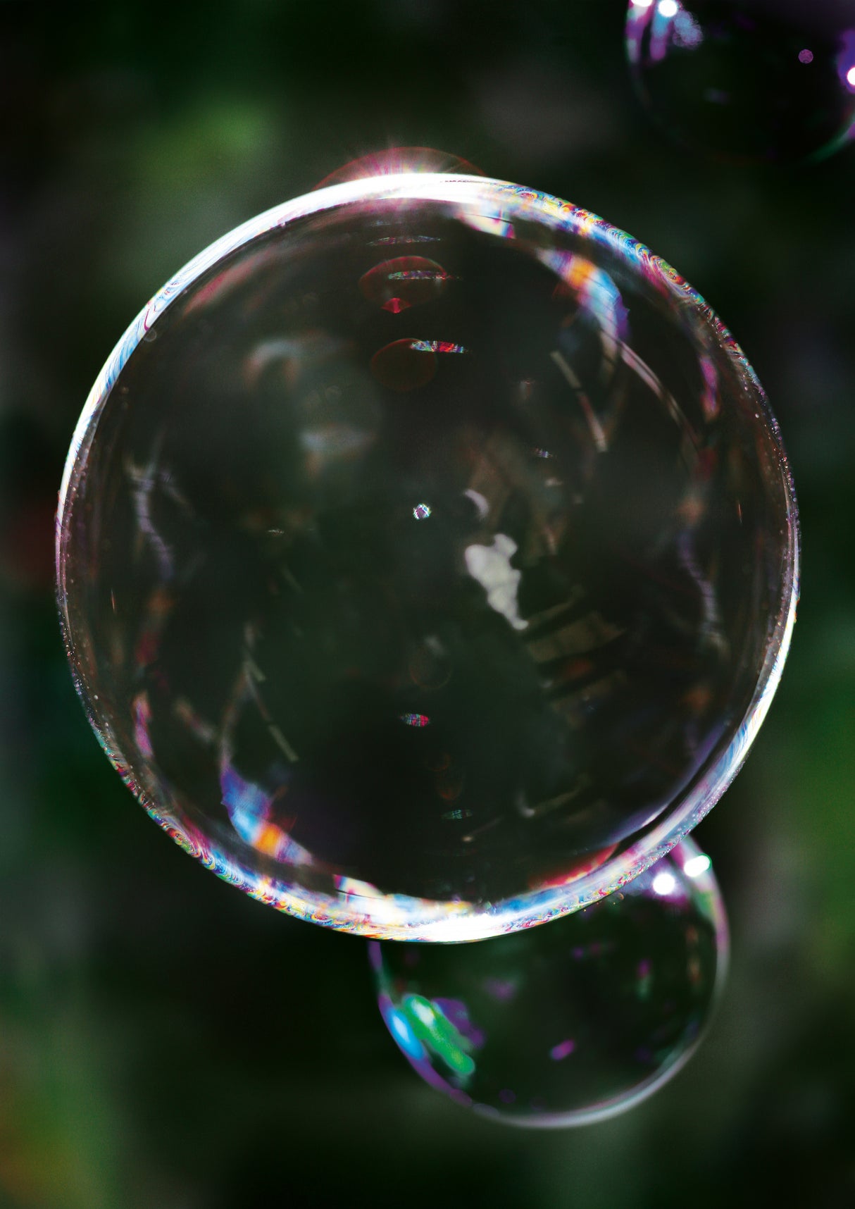 Bubble Poster och Canvastavla