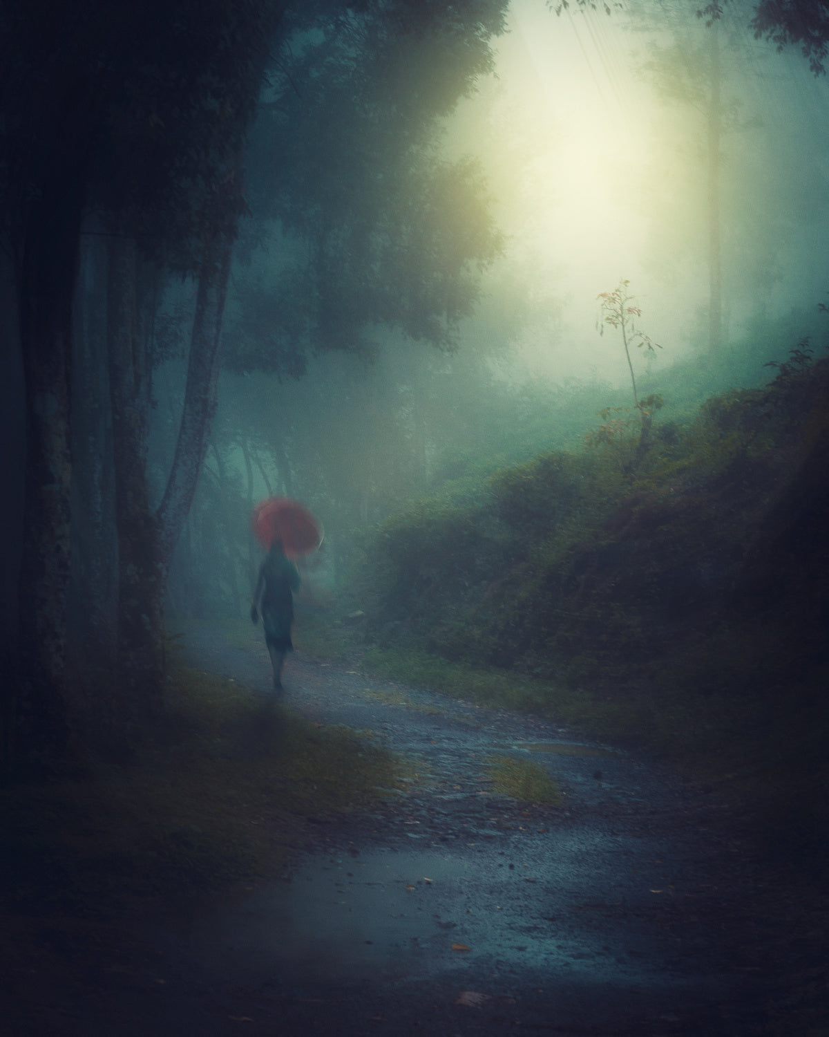 Woman with red umbrella Poster och Canvastavla