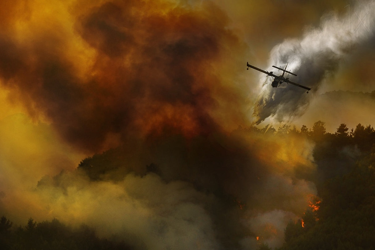 Fire in National Park of Cilento (SA) - Italy Poster och Canvastavla